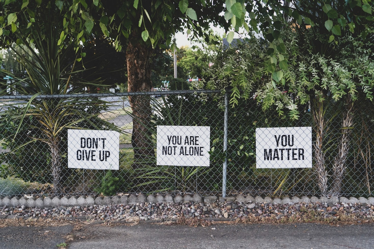 The Art and Power of Sharing Experiences
