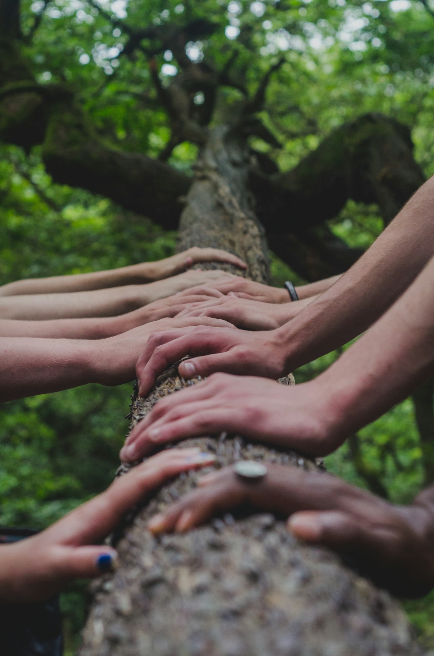Stories That Inspire: The Heart of Community Growth